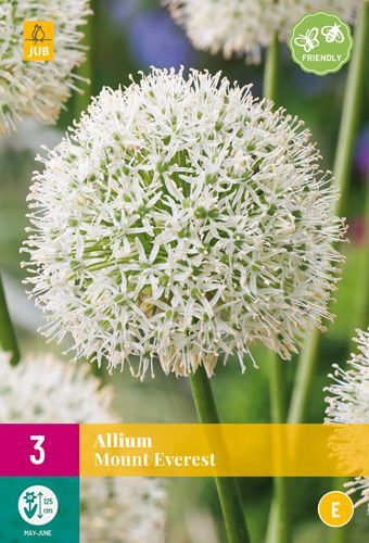 3 allium mount everest