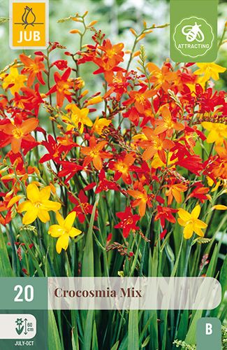 20 crocosmia mix