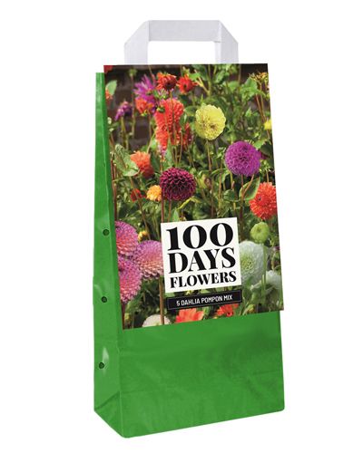 Tote bag avec un mélange de 5 dahlias pompon