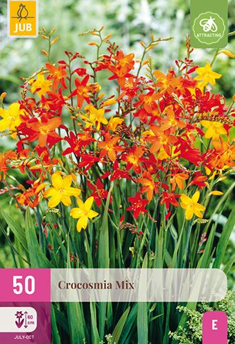 50 crocosmia mix