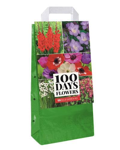 Sac de transport avec 125 bulbes à fleurs d'été