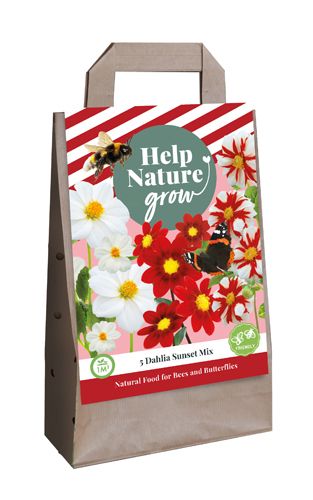 Tas 'help nature grow' met 5 dahlias sunset mix