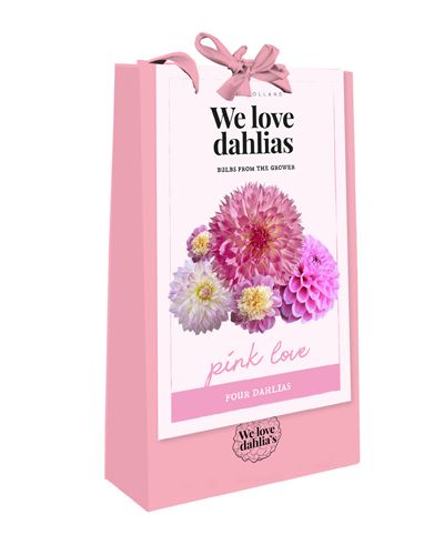 Tas 'we love dahlias, pink love' met 4 dahlias in roze kleuren