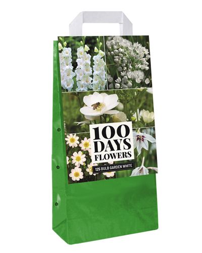 Sac de transport avec 125 bulbes à fleurs blanches d'été