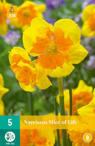 5 narcisse slice of life