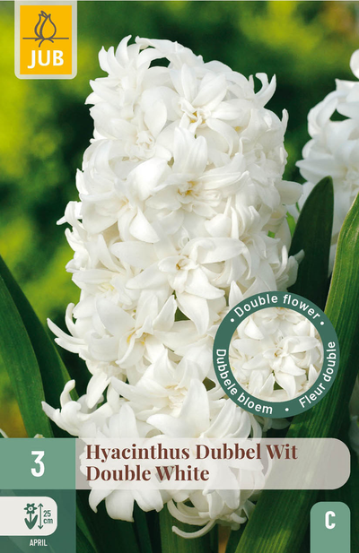 3 bloembollen hyacinthus dubbel wit