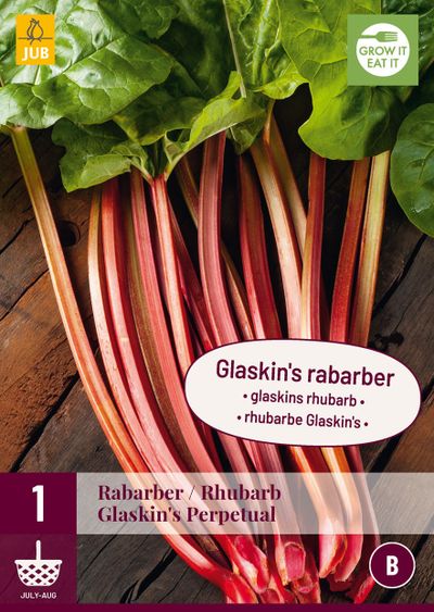 Rheum / rabarber glaskin's perpetual