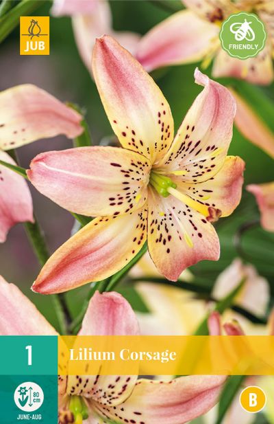 1 bloembol lilium corsage