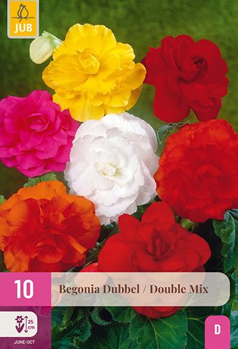 10 begonia 'double mix'