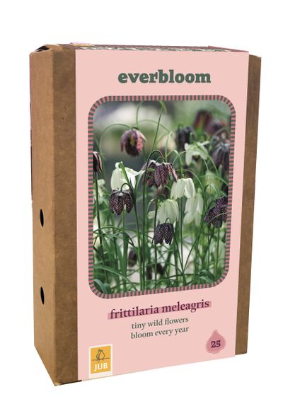 Doos 'everbloom' met 25 bloembollen fritillaria meleagris