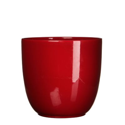 Pot