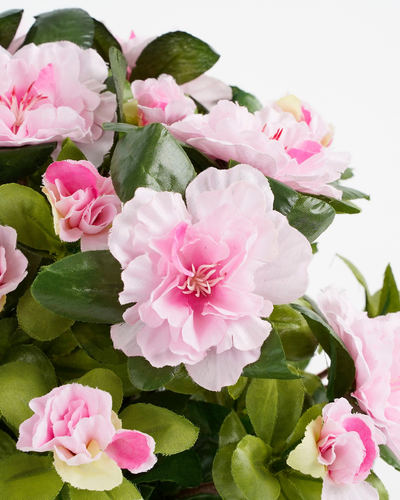 Azalea rose en pot stan gris d11,5cm - h27xd20cm