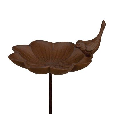 Bain oiseau a piquer L