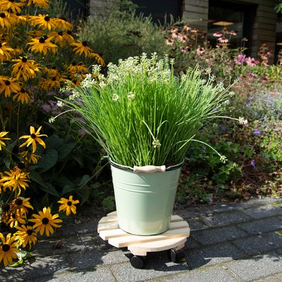 Ronde outdoor plantentrolley L