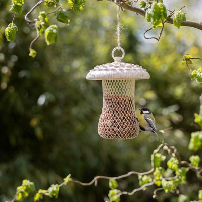 Voedersilo parasolzwam