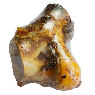 Runderknokkel 1 st. (krimp) (met label)