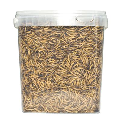 Meelwormen 5 liter