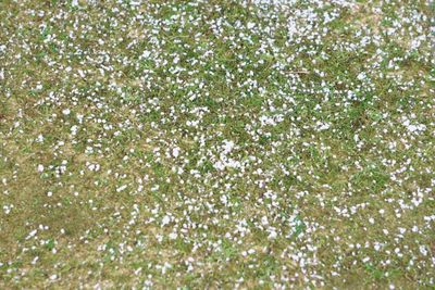 Tapis mousse neige 70x50cm