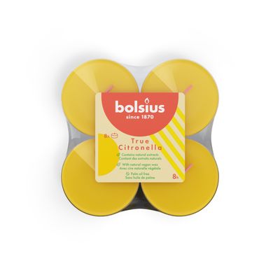 Geur maxilichten 8u True Citronella