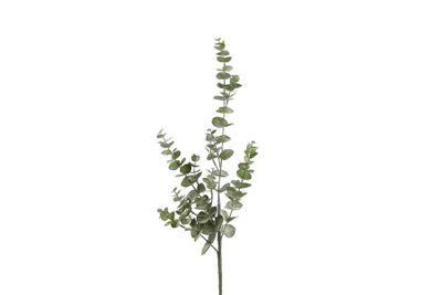 Kunstbloem eucalyptus (kunst)zijde 19x19x79cm groen
