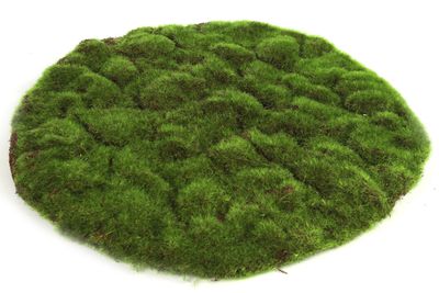 Plat de mousse marchantiophyta xl