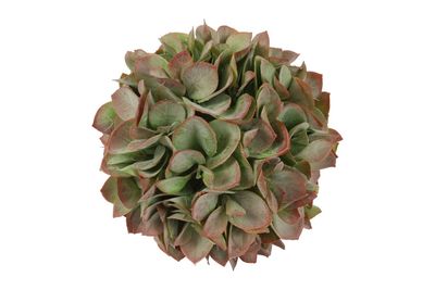 Kunstdeco bal eucalypthus