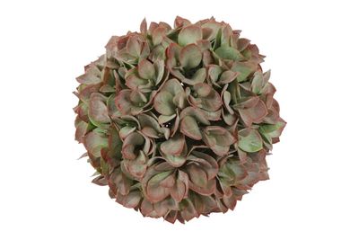 Kunstdeco bal eucalypthus