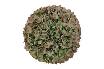 Kunstdeco bal eucalypthus