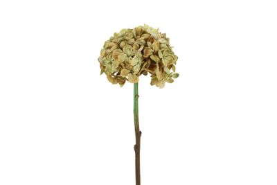 Kunstbloem hydrangea (kunst)zijde 18x18x46cm beige