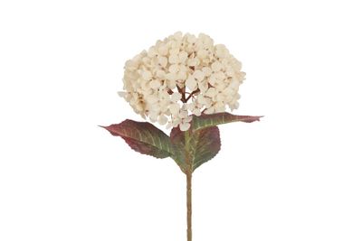 Kunstbloem hydrangea aletta paniculata (kunst)zijde 22x22x70cm wit