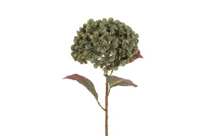 Kunstbloem hydrangea aletta (kunst)zijde 22x22x70cm groen