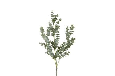 Kunstblad eucalyptus parvifolia (kunst)zijde 8x8x64cm groen