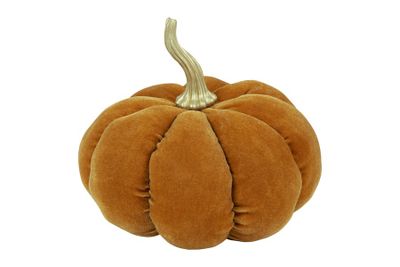 Pompoen nutmeg velvet stof 18x18x17cm geel