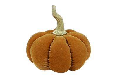 Pompoen nutmeg velvet stof 22x22x22cm geel