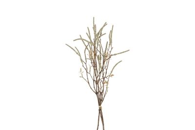Ensemble corylus plastique 6x16x63cm champagne