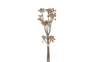 Ensemble hedera helix plastique 15x5x42cm brun