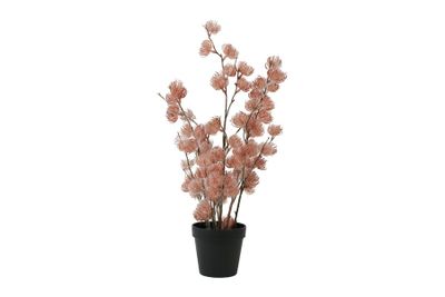 Bloem clematis alpina (kunst)zijde 14x14x57cm roze