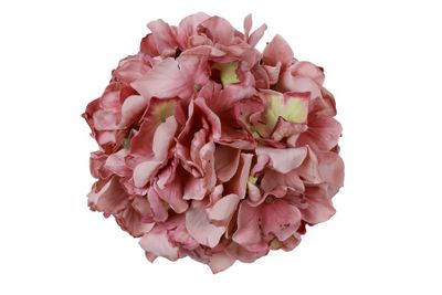 Bloem hydrangea grandy (kunst)zijde 10x10x10cm mauve
