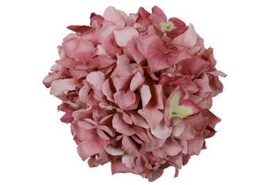 Bloem hydrangea grandy (kunst)zijde 15x15x15cm mauve