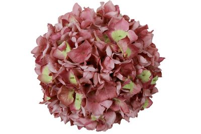 Bloem hydrangea grandy (kunst)zijde 21x21x21cm mauve