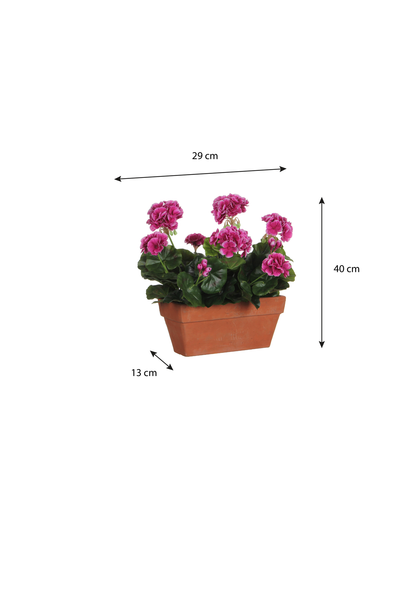 Geranium violet en jardiniere terra - l29xb13xh40cm