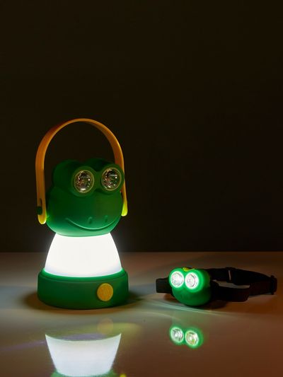 Tafel-hoofdlamp dier (kikker)