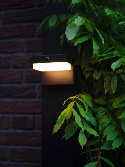 Hybride wandlicht Dawson