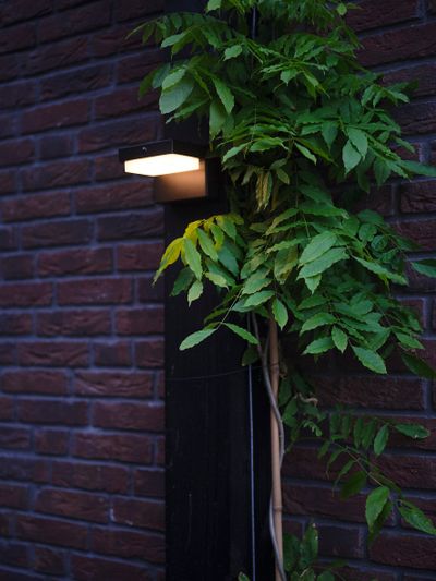 Hybride wandlicht Dawson