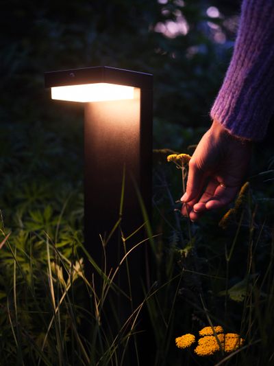 Hybride padlicht Dawson