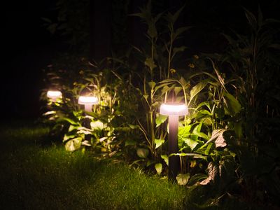 Hybride padlicht Yukon