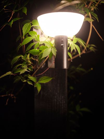 Hybride wandlicht Lawton