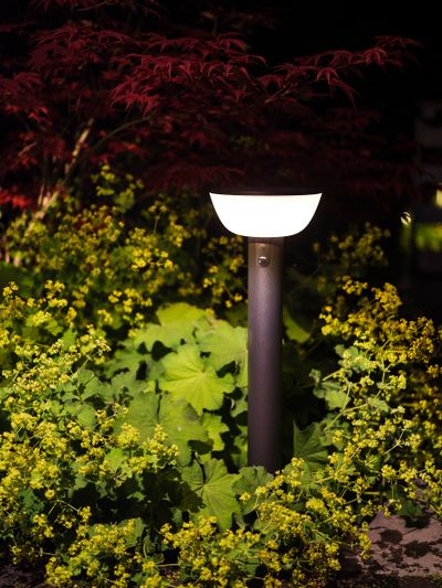 Hybride padlicht Lawton