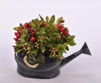 Arrangement helleborus gieter