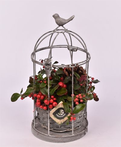 Vogelkooi metaal 